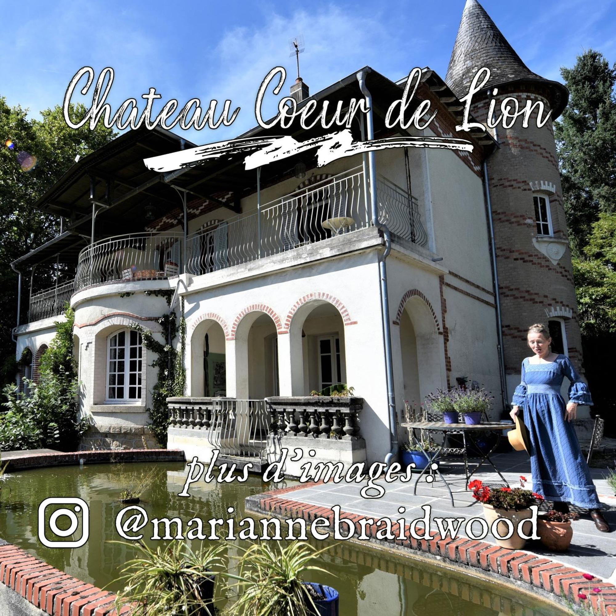Chateau Coeur De Lion Châteauponsac 외부 사진